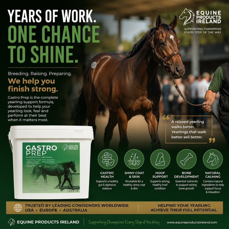Years of Work. One Chance to Shine.