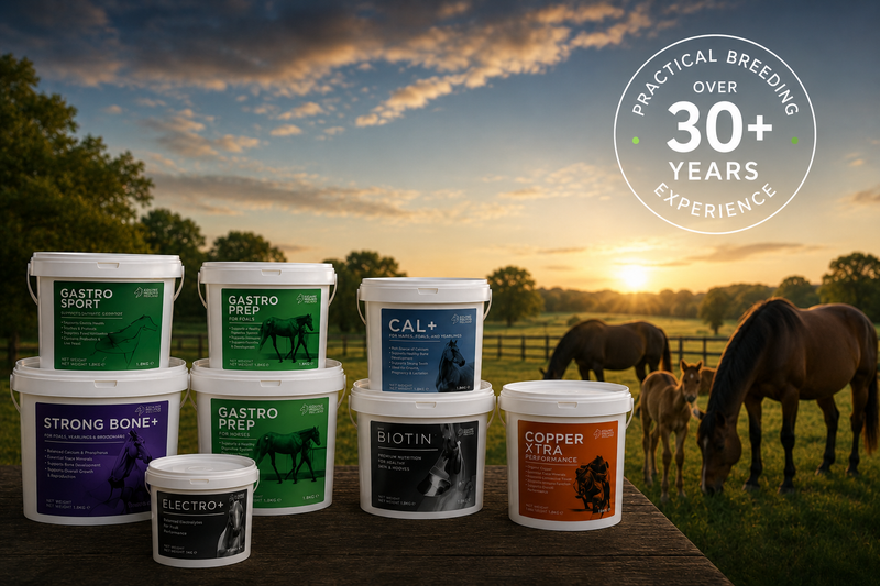 Equine Products Ireland Continues Global Expansion