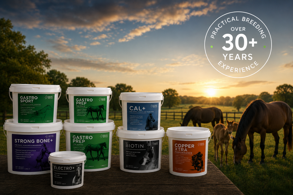 Equine Products Ireland Continues Global Expansion in 2026 | 30+ Years ...