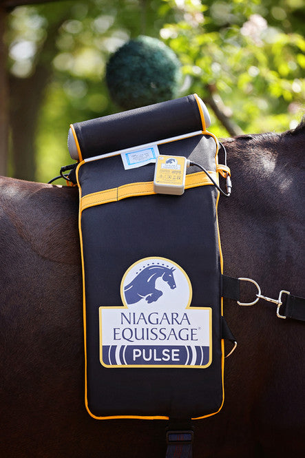 Embracing Innovation: The Niagara Equissage Pulse® Digital Advantage