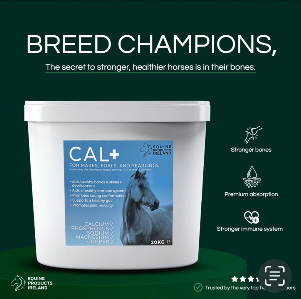 Our Range Of Great Products | Equine Products Ireland