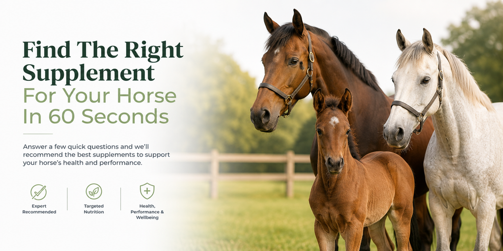 Find My Supplement – Equine Products Ireland